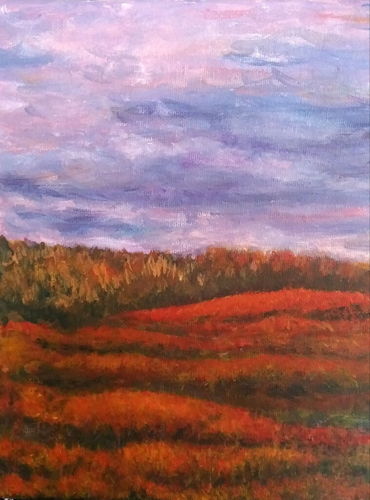 October Barrens by Meredith Huntley